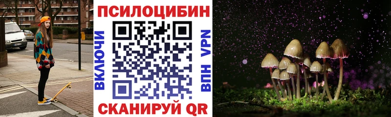 Купить закладки  Кувандык  Галлюциногенные грибы прущие грибы 